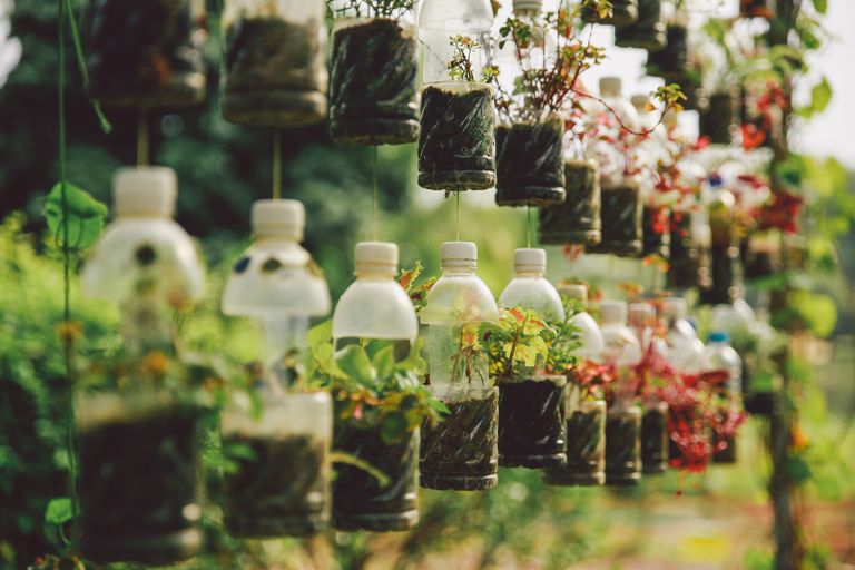 11 Cách làm chậu hoa bằng chai nhựa nhanh đơn giản