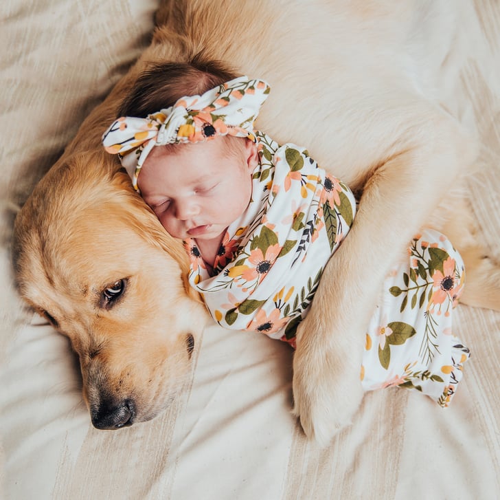 Hình ảnh chú chó và em bé dễ thương