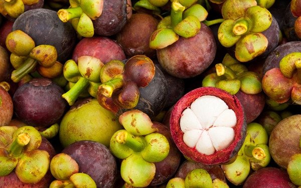 Top 5 giống cây ăn quả quý ở nước ta | Nông nghiệp vàng