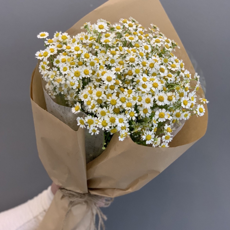Bó hoa cúc tana-Yêu thương| Hoa tươi 555