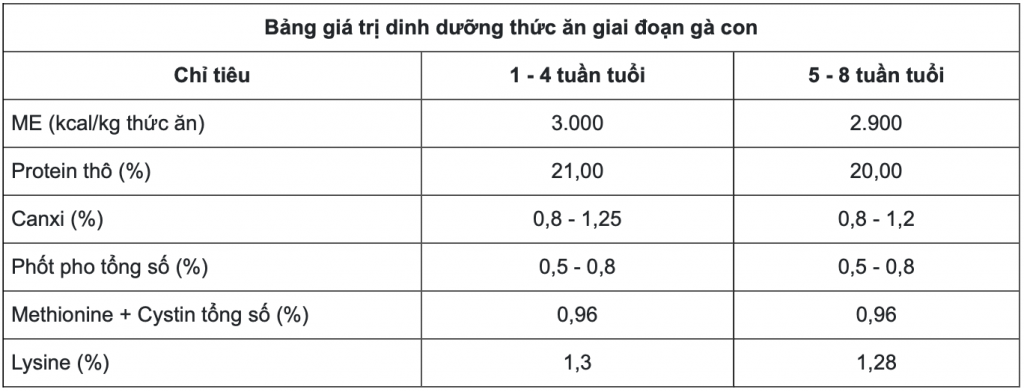 Kỹ thuật nuôi và chăm sóc gà ri con - Chăn nuôi Việt Nam